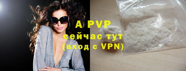 эйфоретик Новодвинск