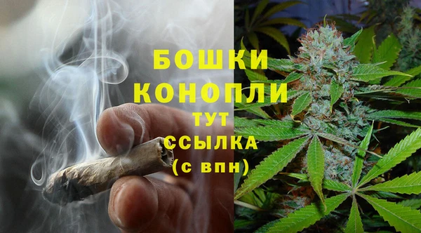 apvp Новозыбков