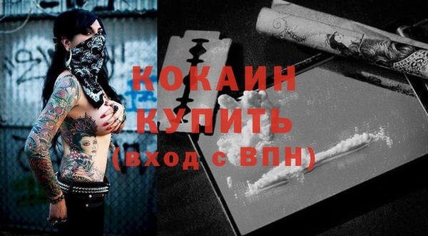 apvp Новозыбков