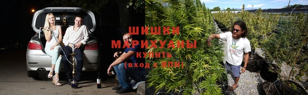 apvp Новозыбков