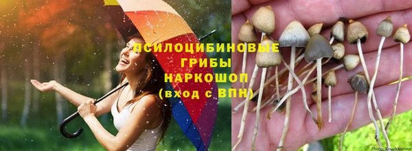 эйфоретик Новодвинск