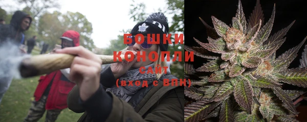 apvp Новозыбков