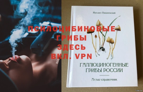 твердый Новокубанск